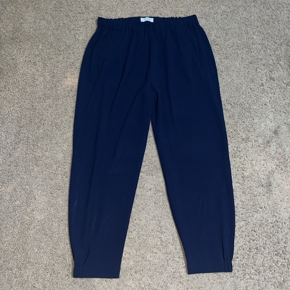 BABATON Aritzia Dexter Tuxedo Jogger Pant Navy Blue Large - Picture 4 of 13